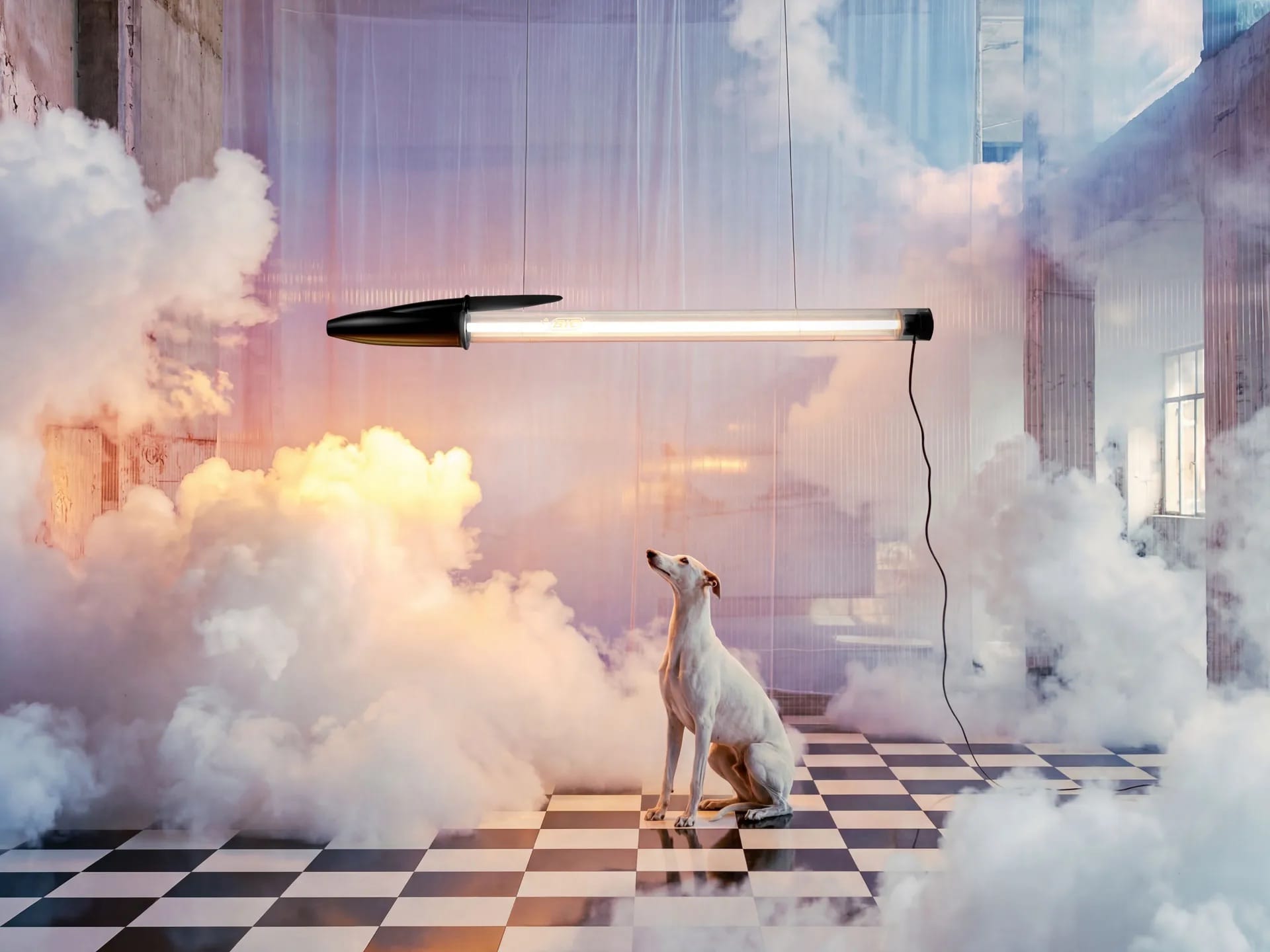 Lampe BIC – Seletti x BIC | Design Mario Paroli suspension Bic Seletti en couleur noir avec un chien