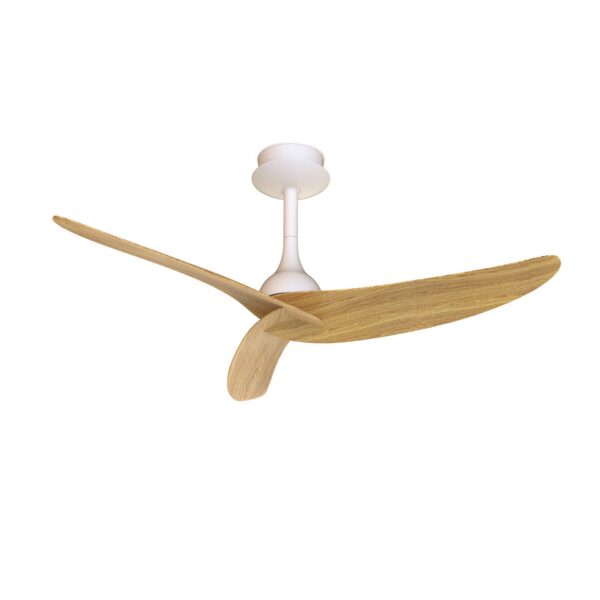 ventilateur plafond ipanema l ip44