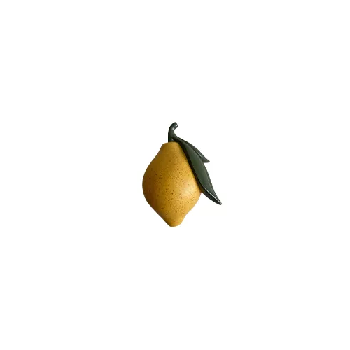Patère murale fruit — pomme, fraise, citron en résine