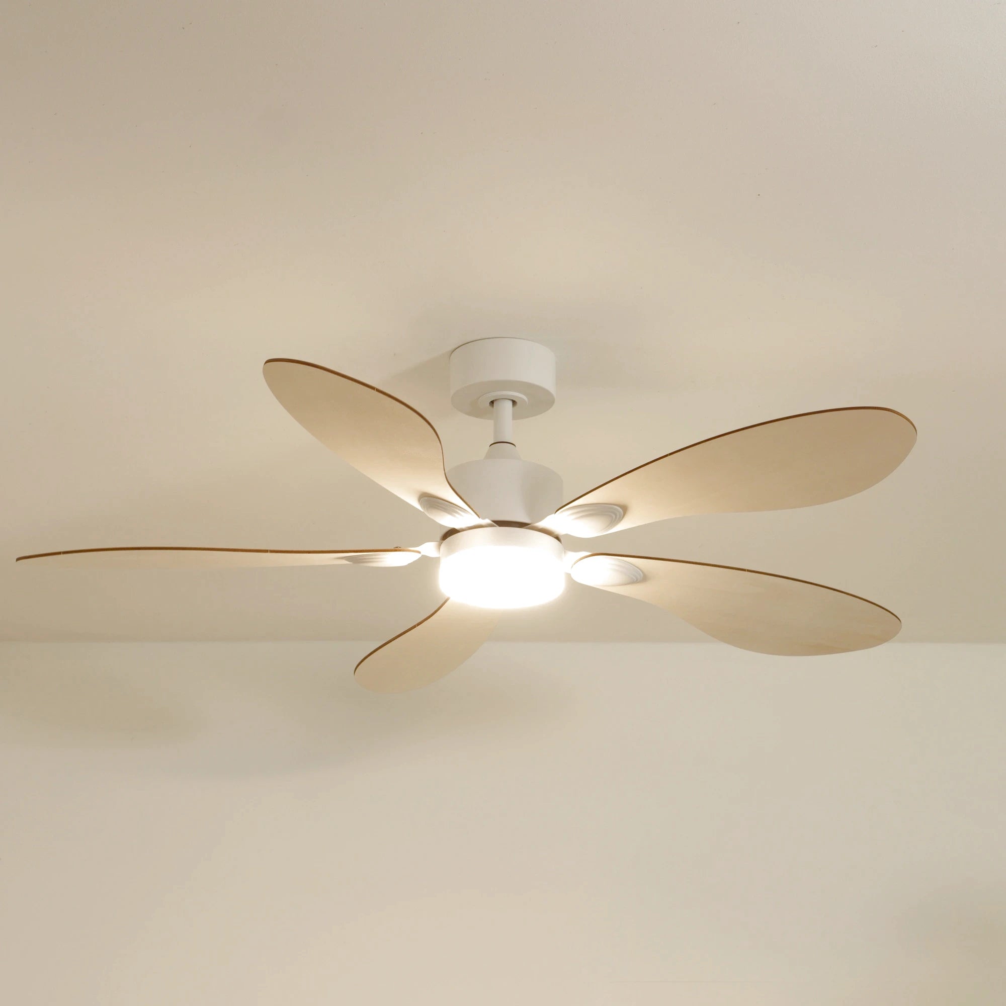 Ventilateur plafond libellule bois eclairage LED 137cm 1