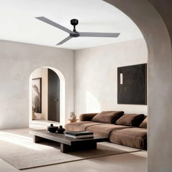 ventilateur plafond salon