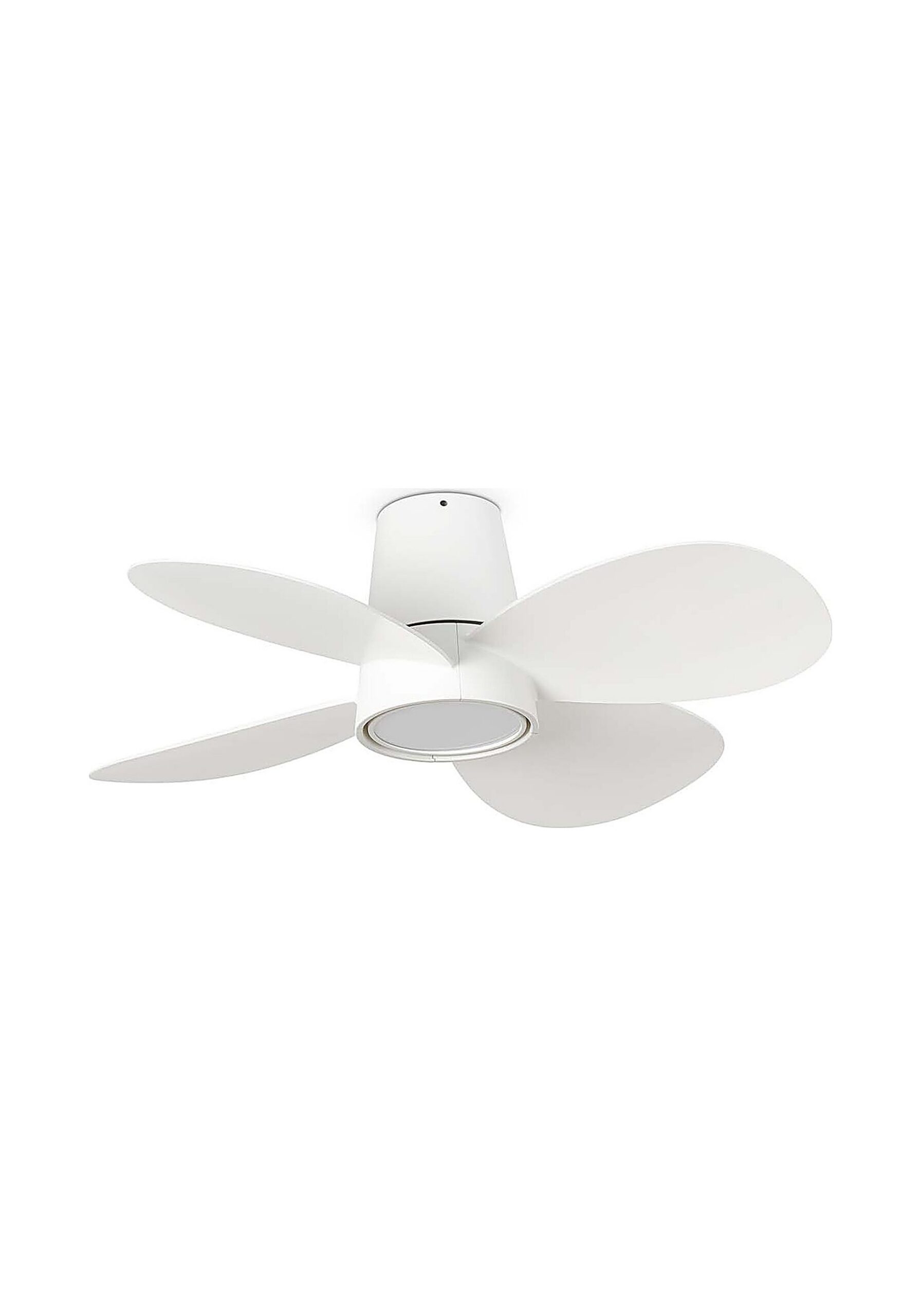 ventilateur plafond cuisine