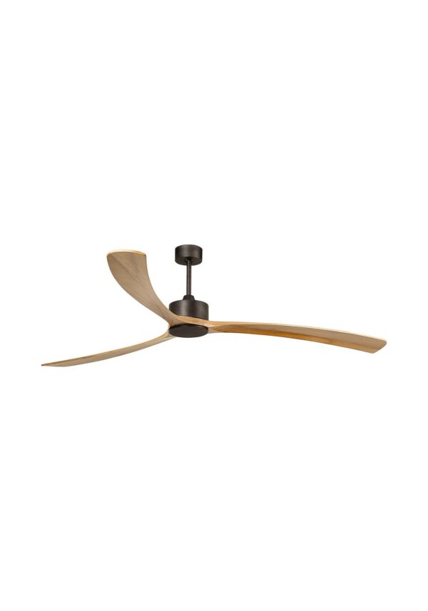 ventilateur plafond professionnel