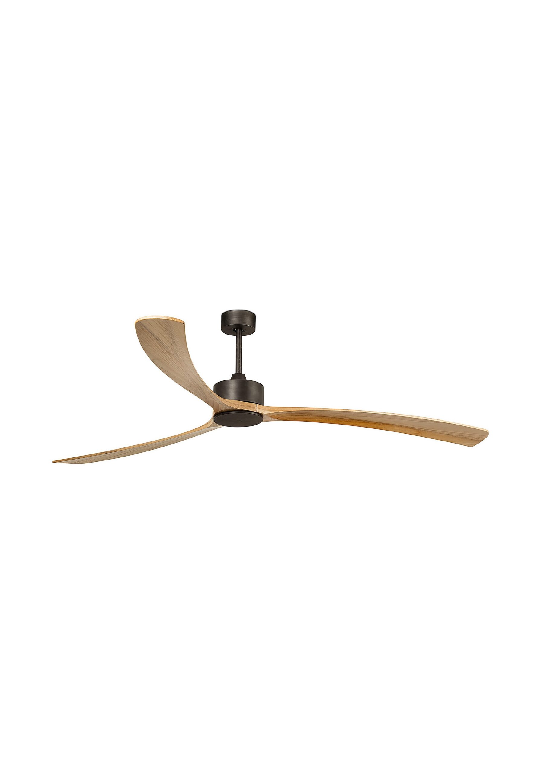 ventilateur plafond professionnel