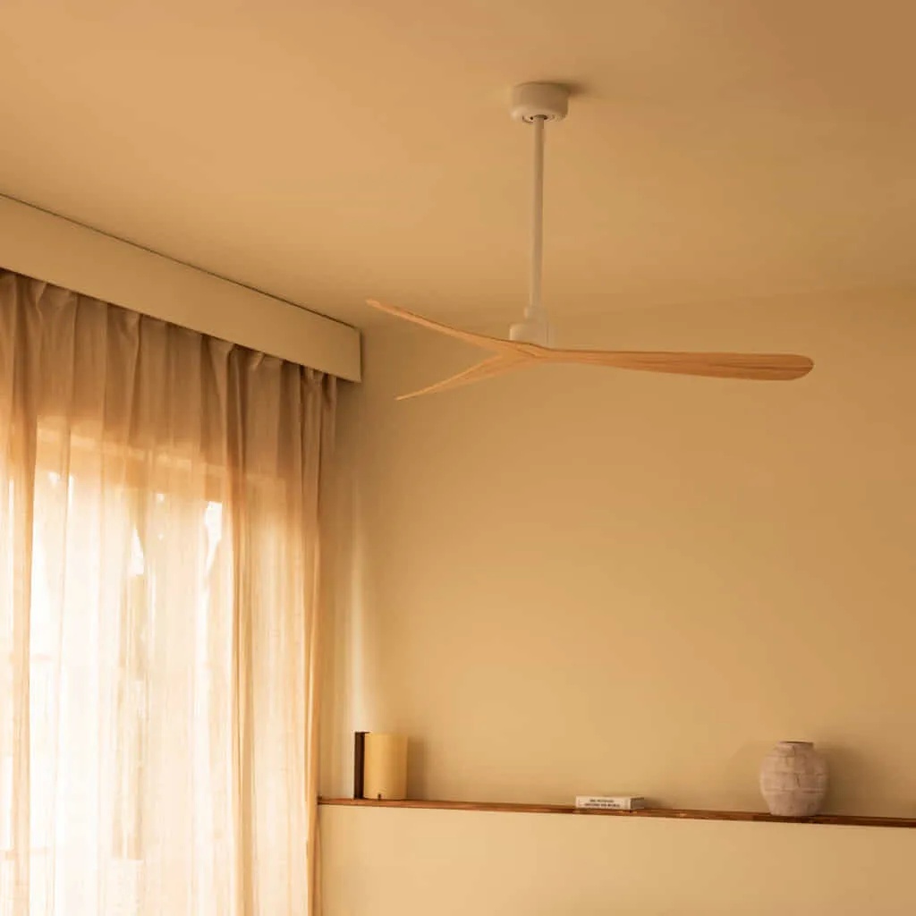 grand ventilateur plafond