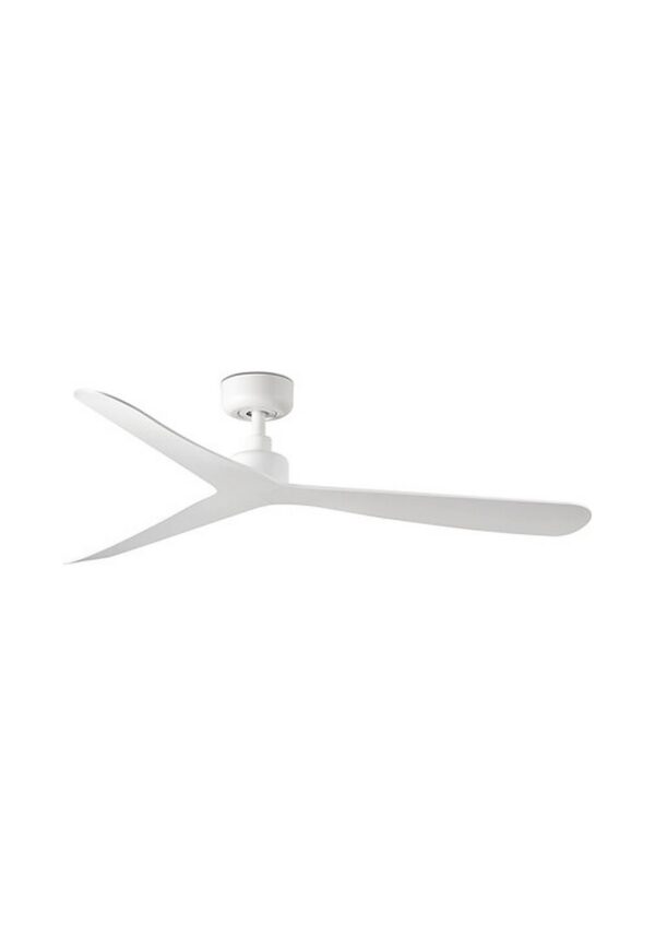 grand ventilateur plafond