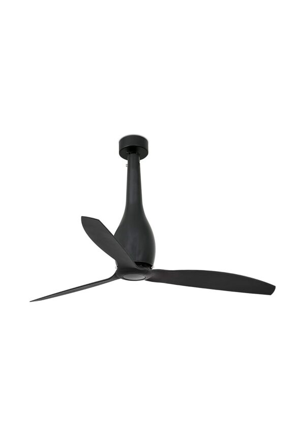 ventilateur plafond transparent