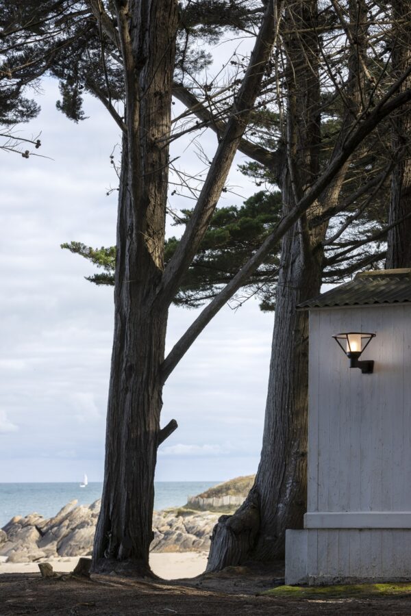 applique montante Bermude en aluminium gris noir sur le mur d une cabane au pied de pins