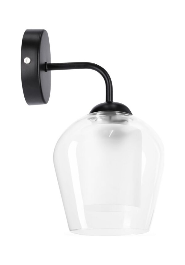 applique murale verre tulipe sur fond blanc