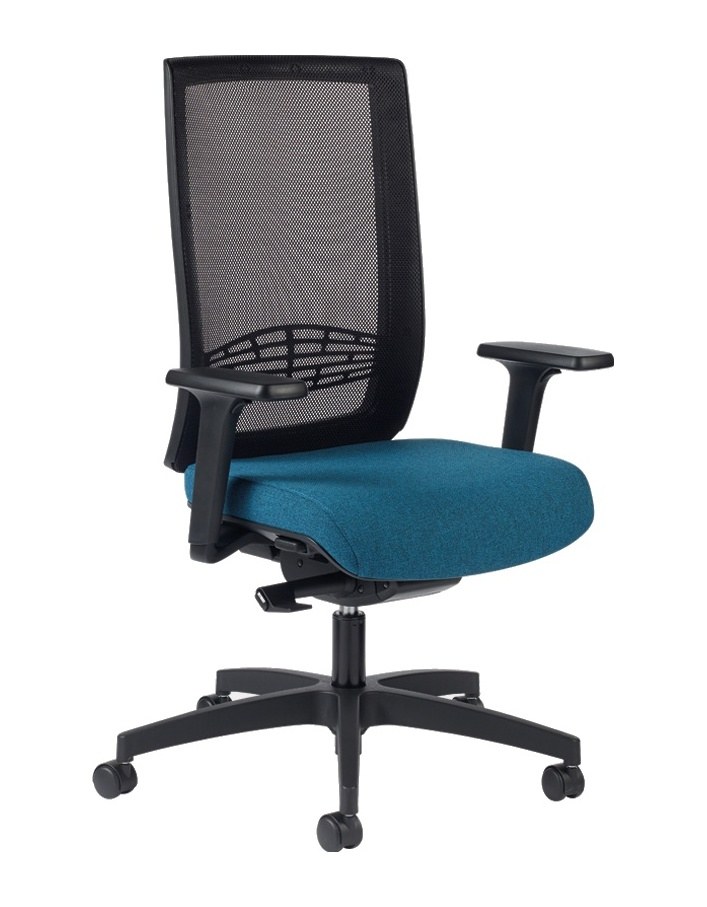 Fauteuil de Bureau Professionnel à Têtière Réglable, Tapissé ou Résille Fauteuil de bureau professionnel à dossier résille sans têtière