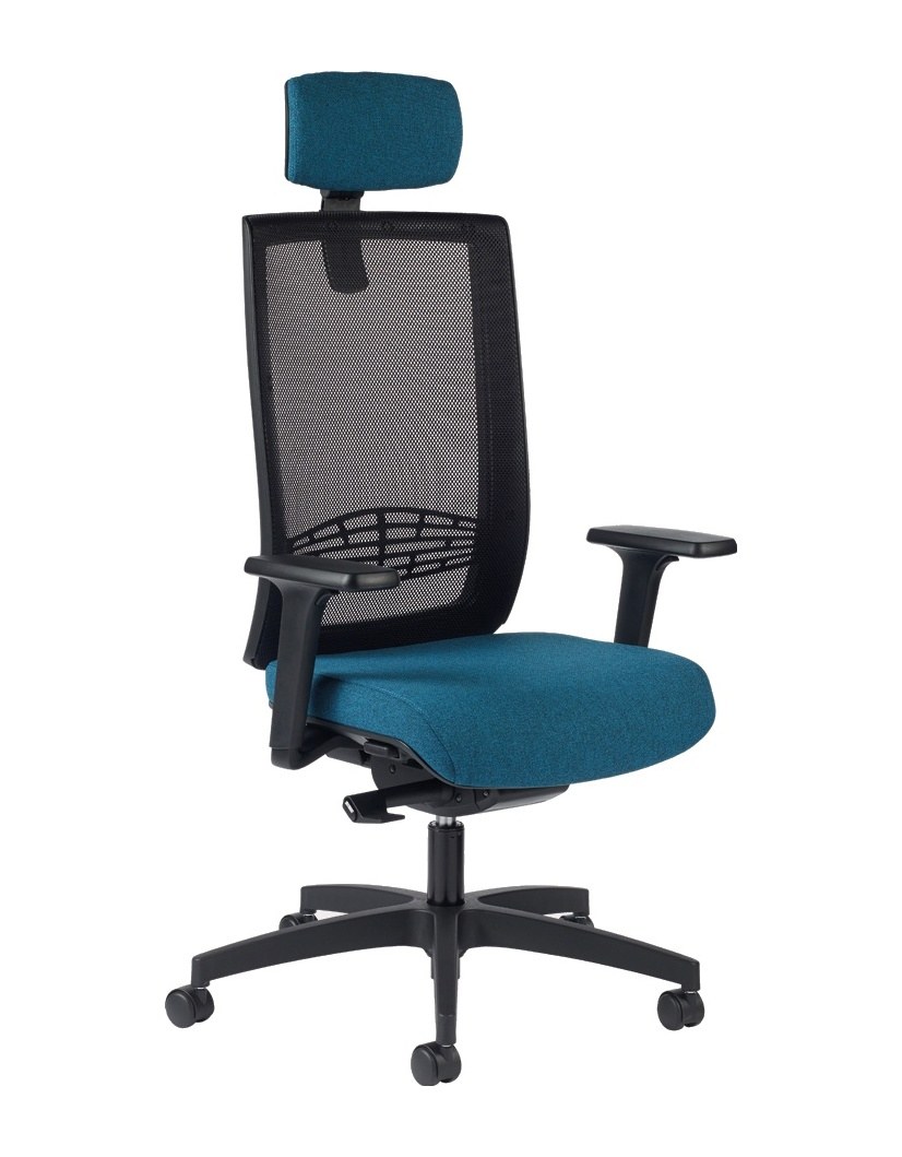 Fauteuil de Bureau Professionnel à Têtière Réglable, Tapissé ou Résille Fauteuil de bureau professionnel à dossier résille et têtière réglable