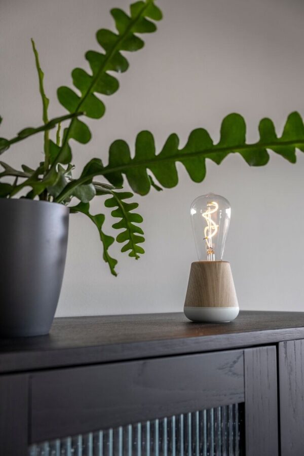 lampe rechargeable One Humble, sur un buffet près d'une plante