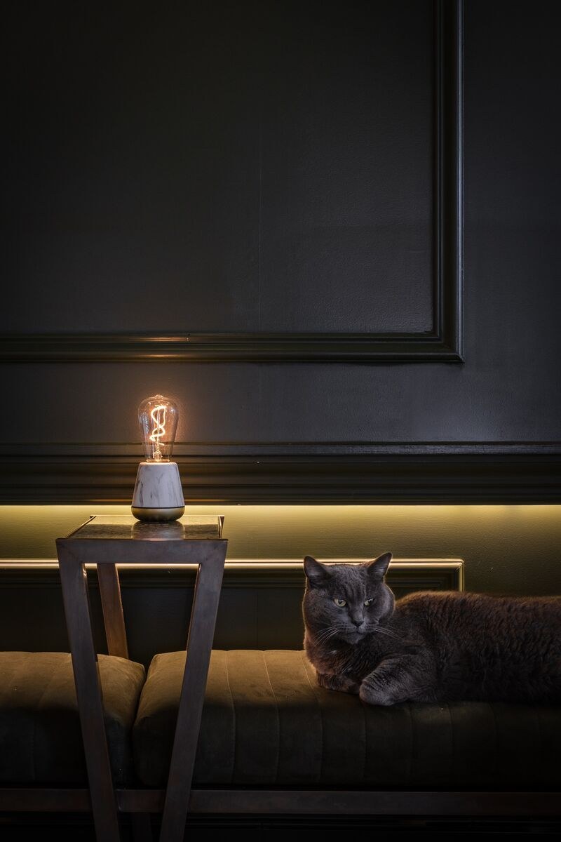 Lampe rechargeable One par Humble, ampoule à filament visible lampe rechargeable One Humble, finition White Marble allumée dans un salon sombre