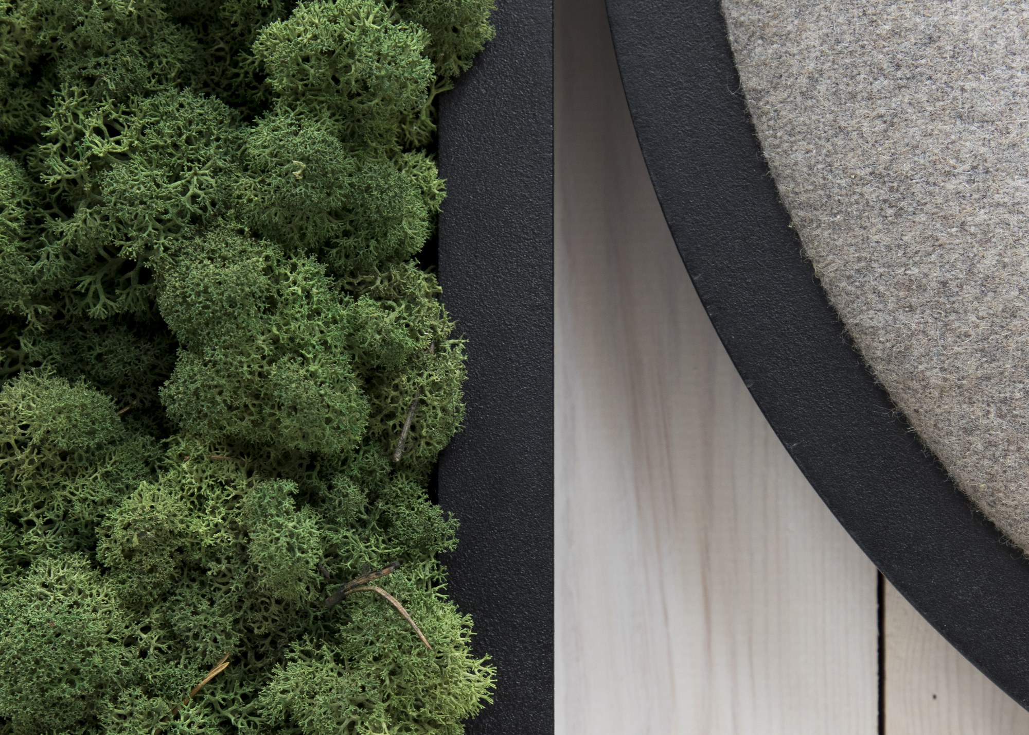 Panneau acoustique BuzziMood par BuzziSpace, mousse végétale ou tissu panneau acoustique BuzziMood BuzziSpace, détail de la mousse de renne et du cadre noir
