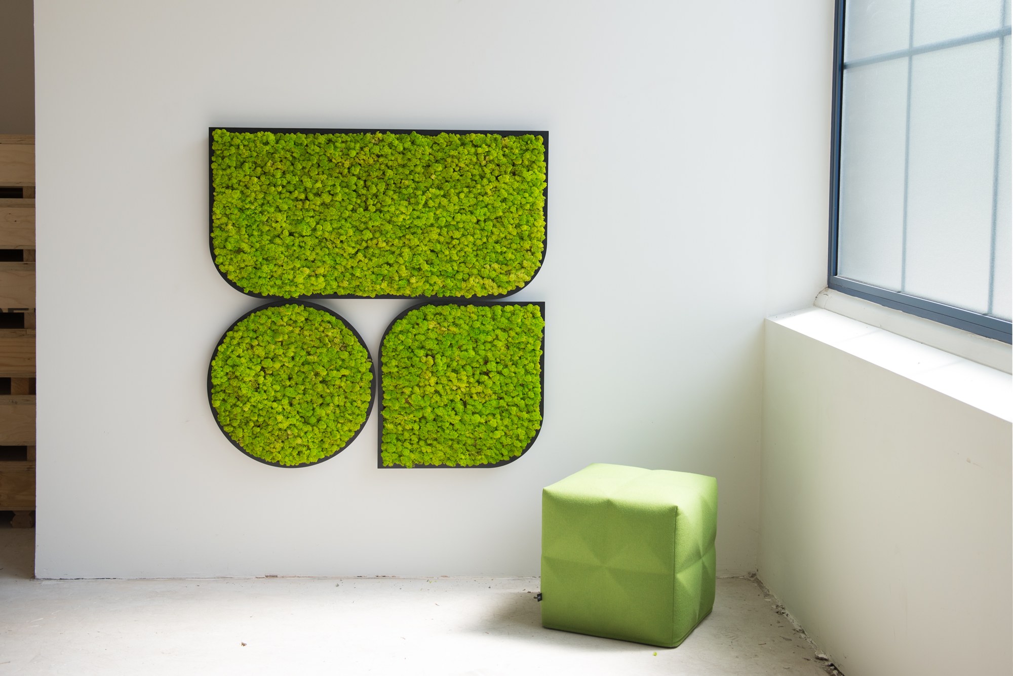 Panneau acoustique BuzziMood par BuzziSpace, mousse végétale ou tissu panneau acoustique BuzziMood BuzziSpace, rond, carré et rectangle en mousse de renne vert clair sur un mur blanc