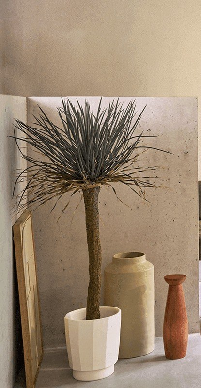 vase céramique Bento Urban Nature Culture, dans un angle près d'un yucca et d'un bougeoir en bois