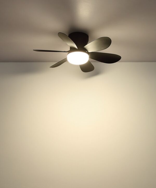 ventilateur plafond 51 cm noir à six pales avec lumière LED, allumé au plafond, lumière LED chaude