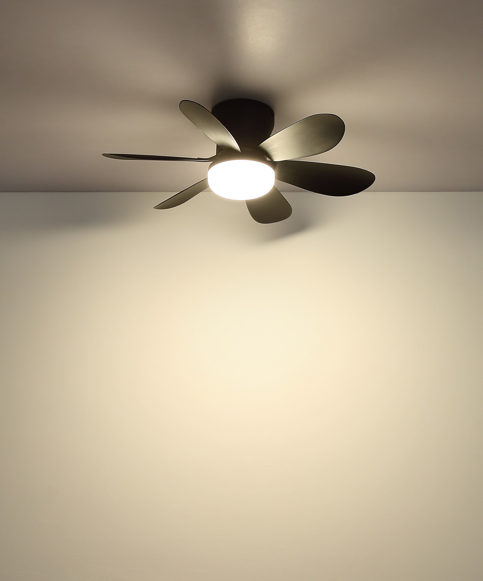 Ventilateur de plafond noir avec lumière LED et télécommande Ø 51 cm ventilateur plafond 51 cm noir à six pales avec lumière LED, allumé au plafond, lumière LED chaude