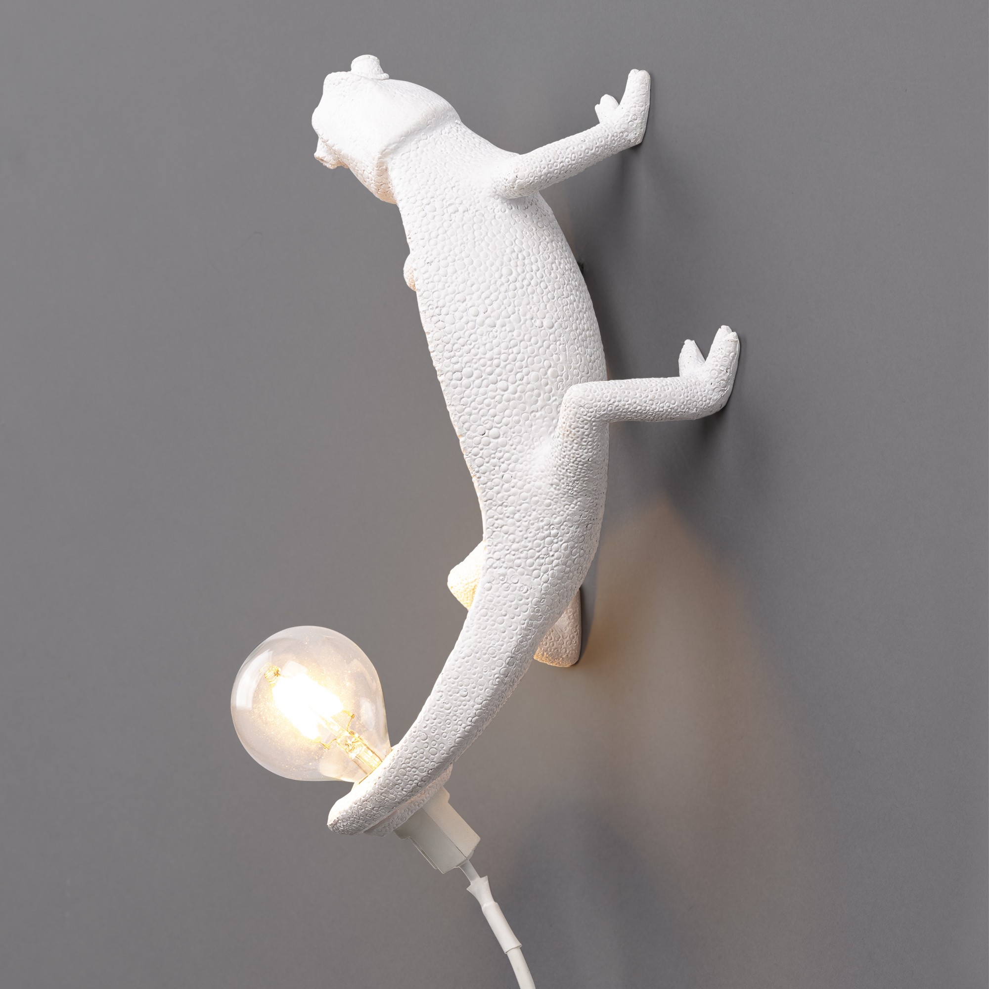 Applique murale Chameleon up en forme de cameleon en résine par Marcantonio x Seletti Applique murale Chameleon up en forme de cameleon en résine par Marcantonio x Seletti