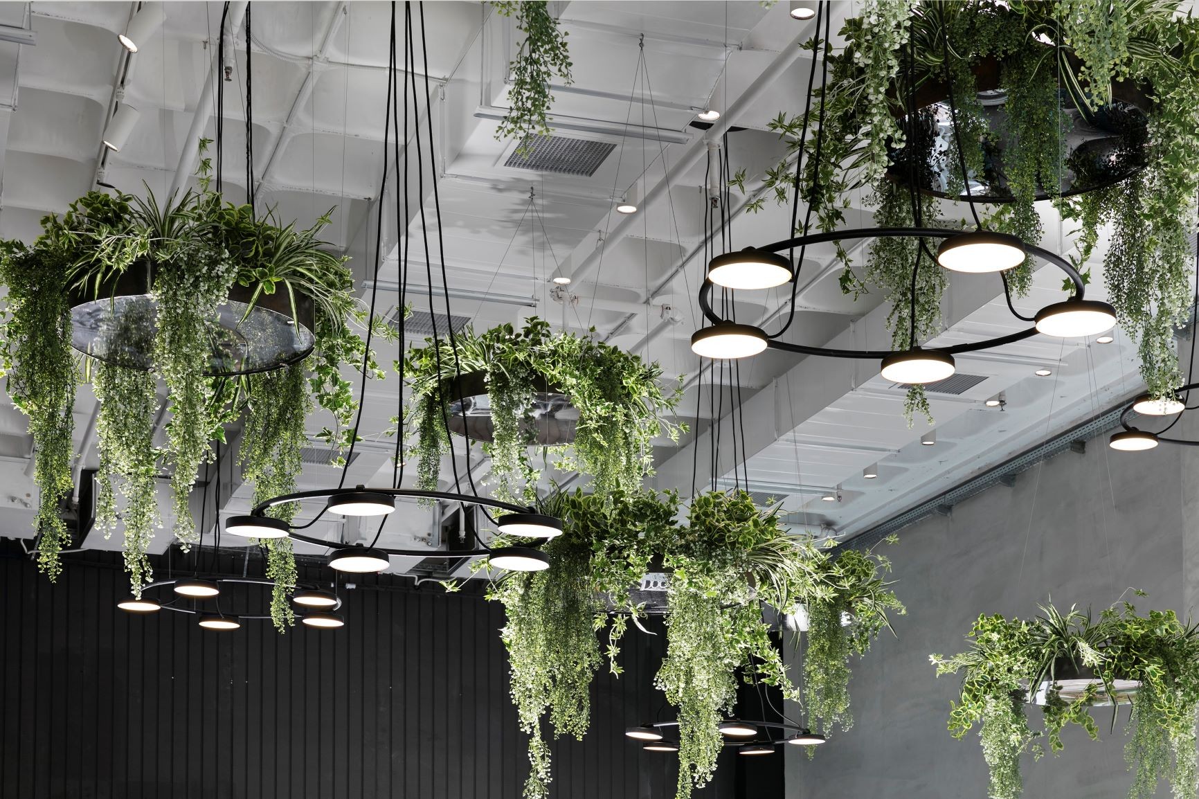 Suspension LED orientable sur arceau métallique - Aro par Estiluz