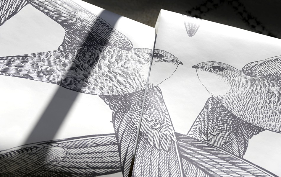 Papier peint design intissé White Birds - grands oiseaux prêt-à-poser Papier peint design intissé White Birds - grands oiseaux prêt-à-poser