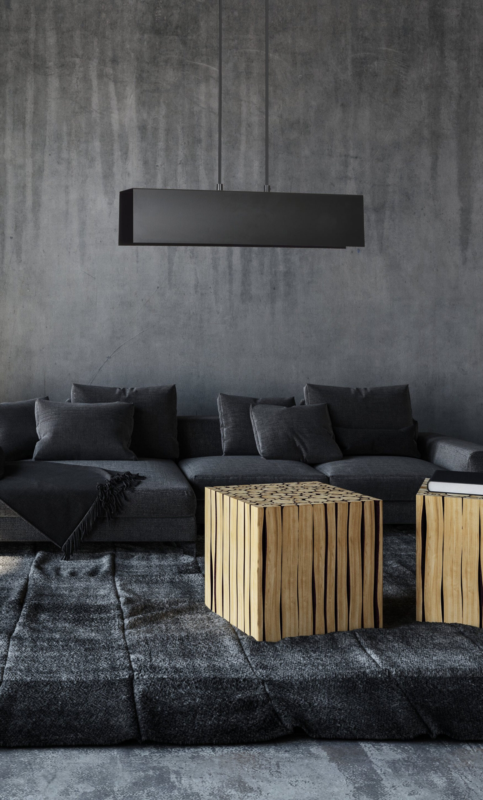 Suspension Gentor base et cache-ampoule en métal rectangle au design contemporain par Emibig Suspension Gentor base et cache-ampoule en métal rectangle au design contemporain par Emibig
