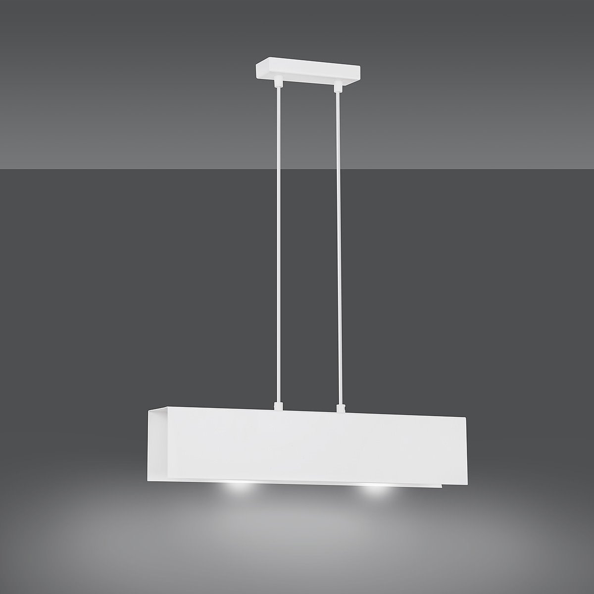 Suspension Gentor base et cache-ampoule en métal rectangle au design contemporain par Emibig Suspension Gentor base et cache-ampoule en métal rectangle au design contemporain par Emibig