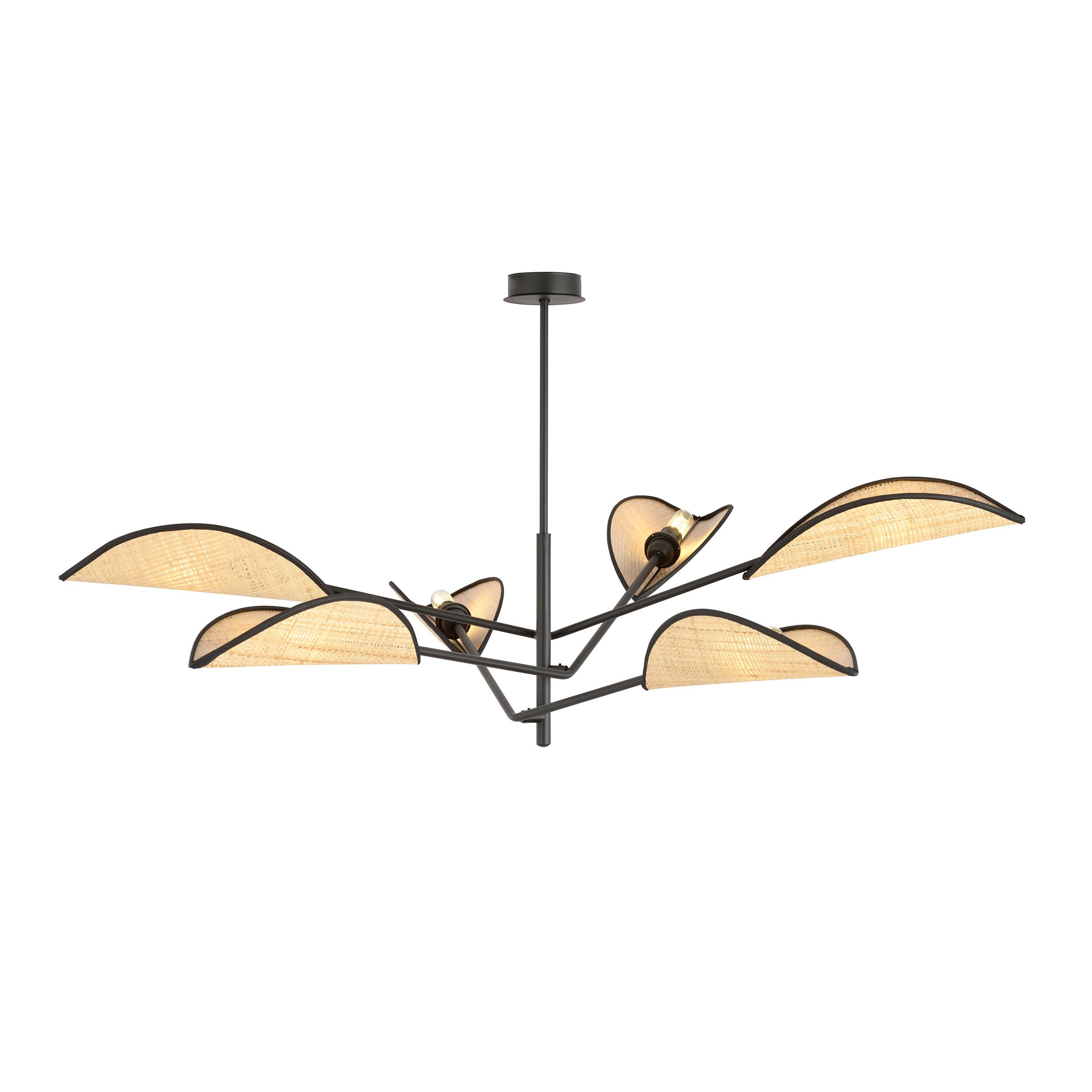 Plafonnier Vene Base en métal avec abat-jour en forme de feuille au design contemporain par Emibig Plafonnier Vene Base en métal avec abat-jour en forme de feuille au design contemporain par Emibig