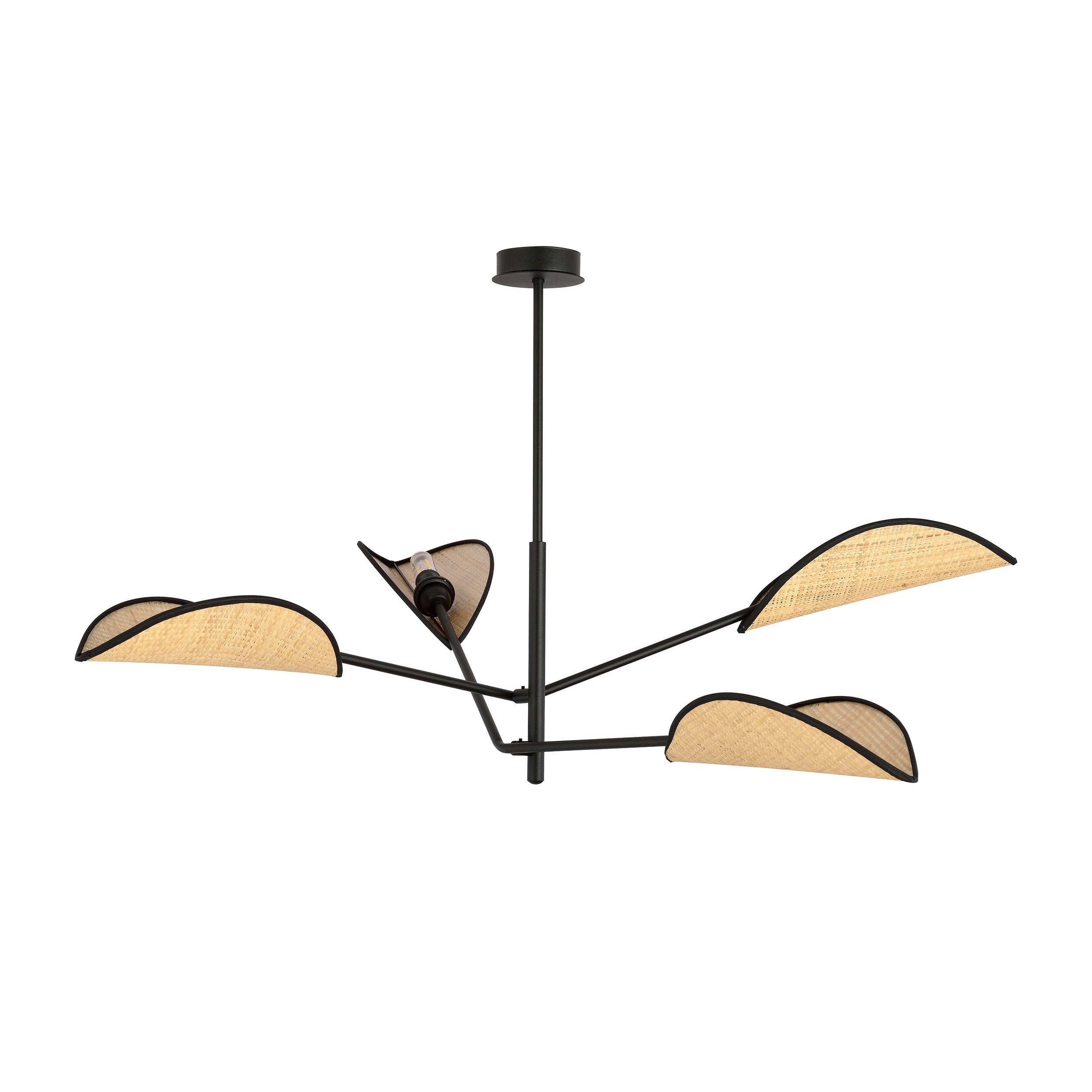 Plafonnier Vene Base en métal avec abat-jour en forme de feuille au design contemporain par Emibig Plafonnier Vene Base en métal avec abat-jour en forme de feuille au design contemporain par Emibig