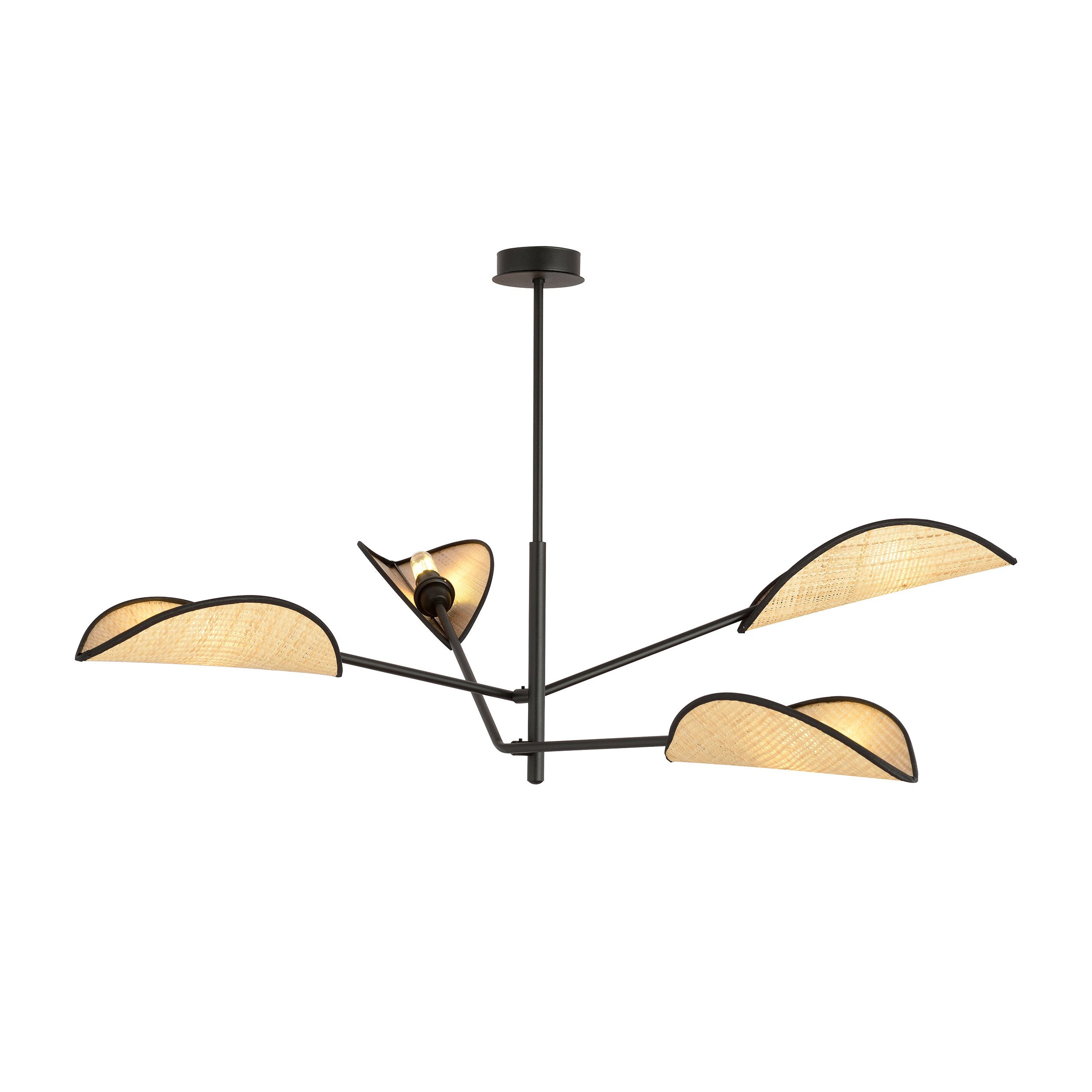 Plafonnier Vene Base en métal avec abat-jour en forme de feuille au design contemporain par Emibig Plafonnier Vene Base en métal avec abat-jour en forme de feuille au design contemporain par Emibig