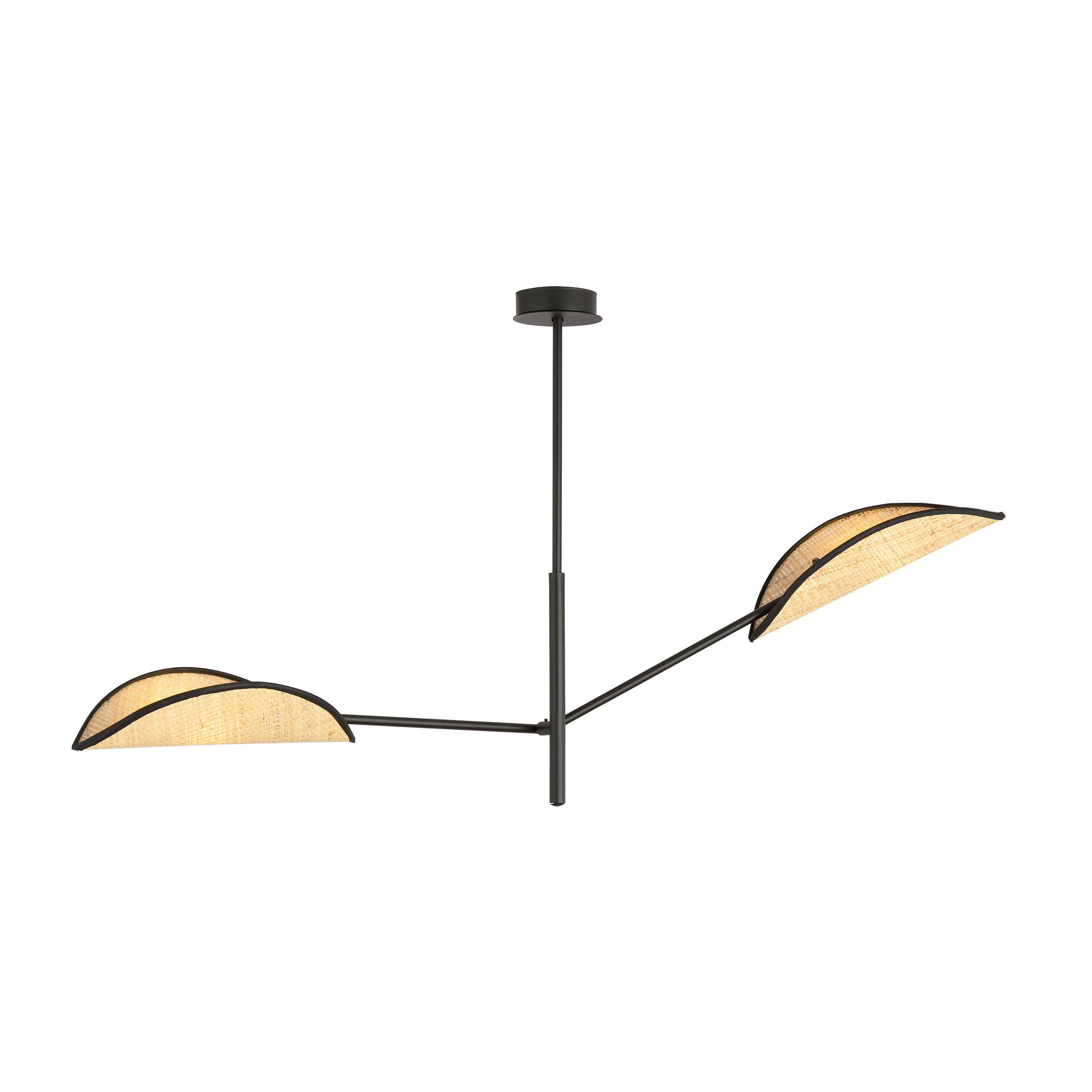 Plafonnier Vene Base en métal avec abat-jour en forme de feuille au design contemporain par Emibig Plafonnier Vene Base en métal avec abat-jour en forme de feuille au design contemporain par Emibig