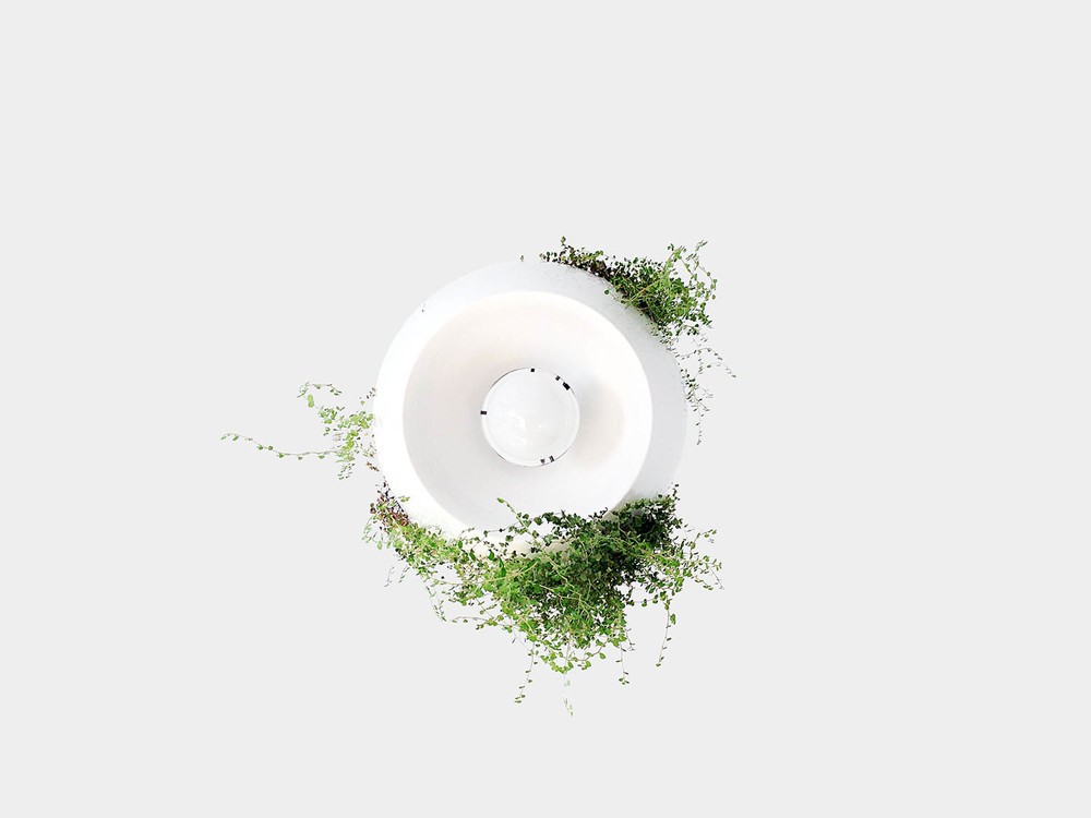 Suspension pot de fleurs Well Planter Light au design nature et sauvage par Object Interface Suspension pot de fleurs Well Planter Light au design nature et sauvage par Object Interface